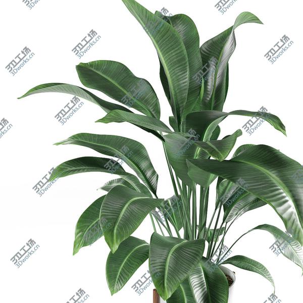 images/goods_img/20210312/3D Plant/4.jpg
